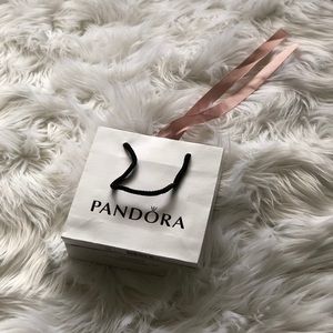 • Pandora gift bag ONLY •